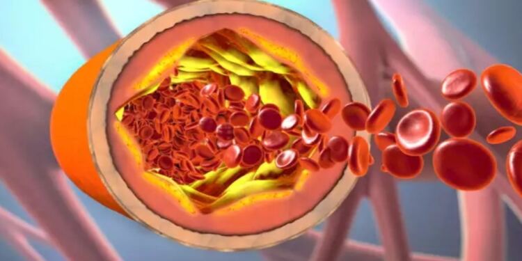 Ο ελληνικός καρπός που μειώνει τριγλυκερίδια, σάκχαρο και χοληστερόλη