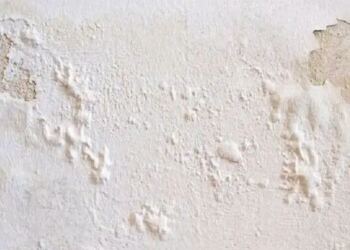 Πώς να αντιμετωπίσετε μουχλιασμένους, φουσκωμένους ή ξεφλουδισμένους τοίχους χωρίς να προσλάβετε επαγγελματία