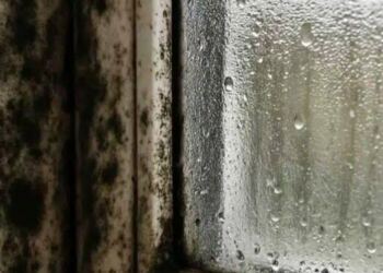 Η γιαγιά μου με έμαθε αυτό το κόλπο για να εξαφανίζω τη μούχλα σε 5 λεπτά με μηδενική προσπάθεια. Δείτε πώς λειτουργεί