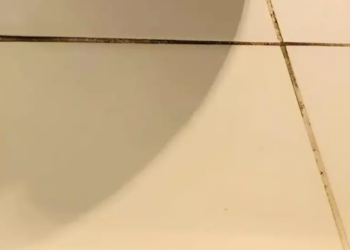 Πώς να αφαιρέσεις τη μαυρίλα ανάμεσα στα πλακάκια στο μπάνιο – Το κόλπο που ξέρουν λίγοι