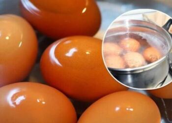 Ποτέ μην ρίχνετε το νερό μετά το βράσιμο των αυγών στον νεροχύτη: ο λόγος θα σας εκπλήξει