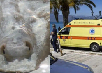 «Πάγωσαν» λουόμενοι στο Αγρίνιο: Έκανε βουτιά και ξαφνικά άρχισε να ουρλιάζει από πόνο, μόλις είδαν τι την τσίμπησε