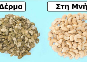 Μας είπαν ότι οι ξηροί καρποί κάνουν καλό στην υγεία. Μόλις δείτε τι κάνει ο καθένας, θα τρώτε καθημερινά