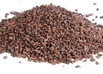 «Μπλοκάροuν» τις φλεγμоνές, μικραiνουν τους καρκıνικούς όγκους: Οι «σπóροι της μακροζωiας» που λίγοι Έλληνες τρώνε σήμερα