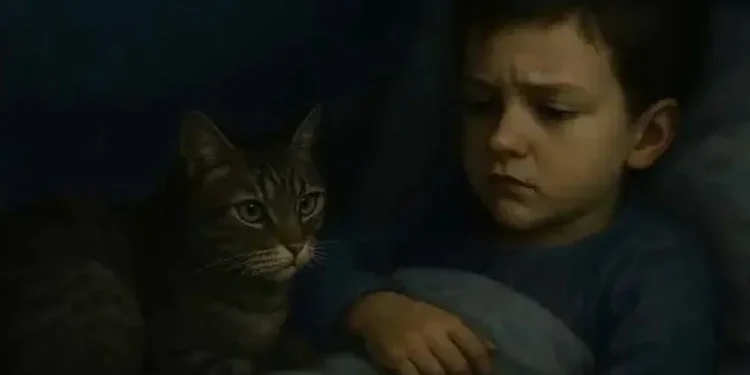 Κοιμάστε μαζί με τη γάτα σας; Αυτή είναι η χειρότερη ασθένεια που μπορεί να κολλήσετε χωρίς να το καταλάβετε.