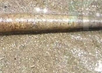 Αν ξέρετε τι είναι αυτό τότε τα παιδικά σας χρόνια ήταν δύσκολα