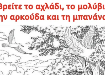 Βρείτε το αχλάδι, το μολύβι, την αρκούδα και τη μπανάνα