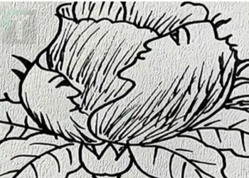 Μόνο άτομα με μεγάλο IQ μπορούν να βρουν τα 5 πρόσωπα σε 17 δευτερόλεπτα