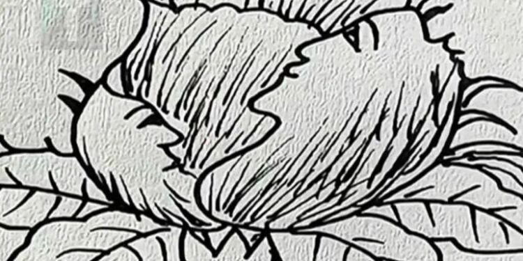 Μόνο άτομα με μεγάλο IQ μπορούν να βρουν τα 5 πρόσωπα σε 17 δευτερόλεπτα