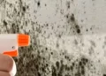 Πώς να αφαιρέσετε την υγρασία από τους τοίχους ώστε να μην επιστρέψει ποτέ