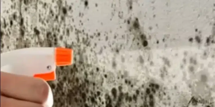 Πώς να αφαιρέσετε την υγρασία από τους τοίχους ώστε να μην επιστρέψει ποτέ