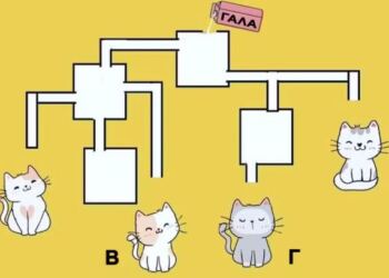 Mπορείτε να βρείτε ποıα γάτα θα πıει πρώτη γάλα σε 19 δευτερóλεπτα;