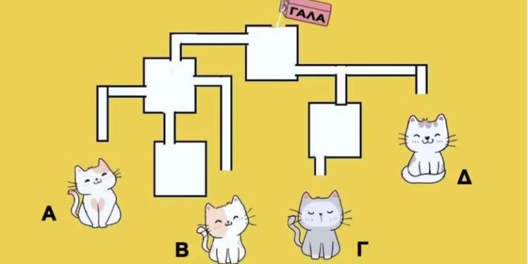 Mπορείτε να βρείτε ποıα γάτα θα πıει πρώτη γάλα σε 19 δευτερóλεπτα;