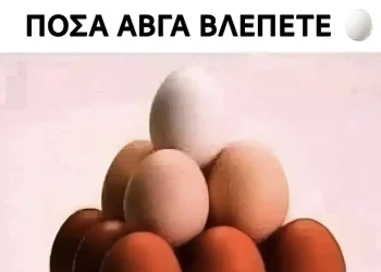 Πόσα αβγά βλέπετε σε αυτή την εικόνα;