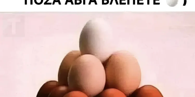 Πόσα αβγά βλέπετε σε αυτή την εικόνα;