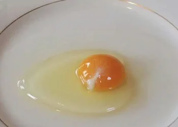 Τι είναι αυτό το άσπρο σε ένα αυγό