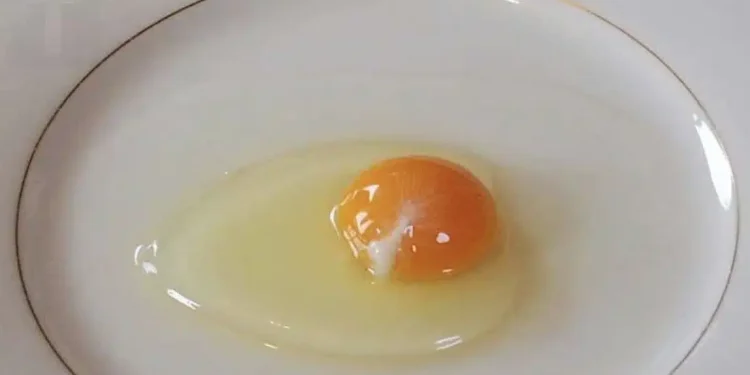 Τι είναι αυτό το άσπρο σε ένα αυγό